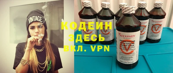 гашик Арсеньев