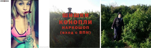 spice Алексин