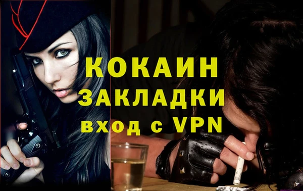 гашик Арсеньев