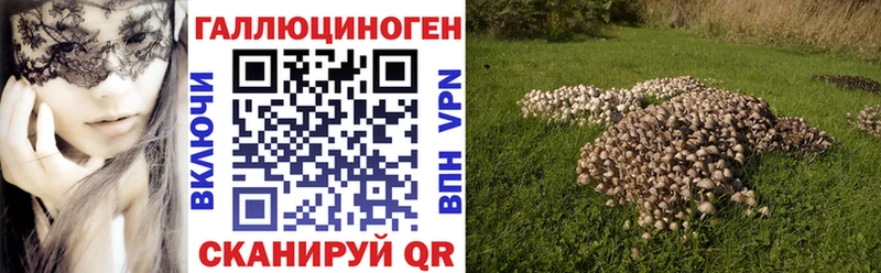 Псилоцибиновые грибы Cubensis  где можно купить наркотик  Ликино-Дулёво 