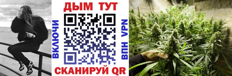 Конопля гибрид  купить наркотик  Ликино-Дулёво 