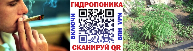 Бошки марихуана Amnesia Ликино-Дулёво